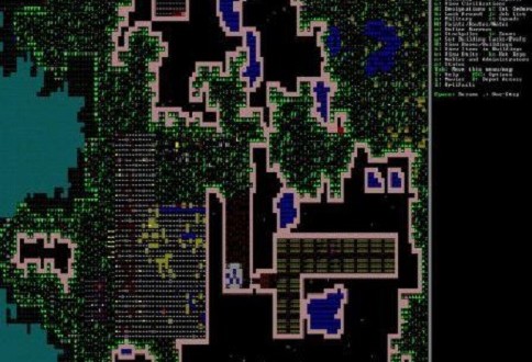 Dwarf Fortress PatientRockDotCom