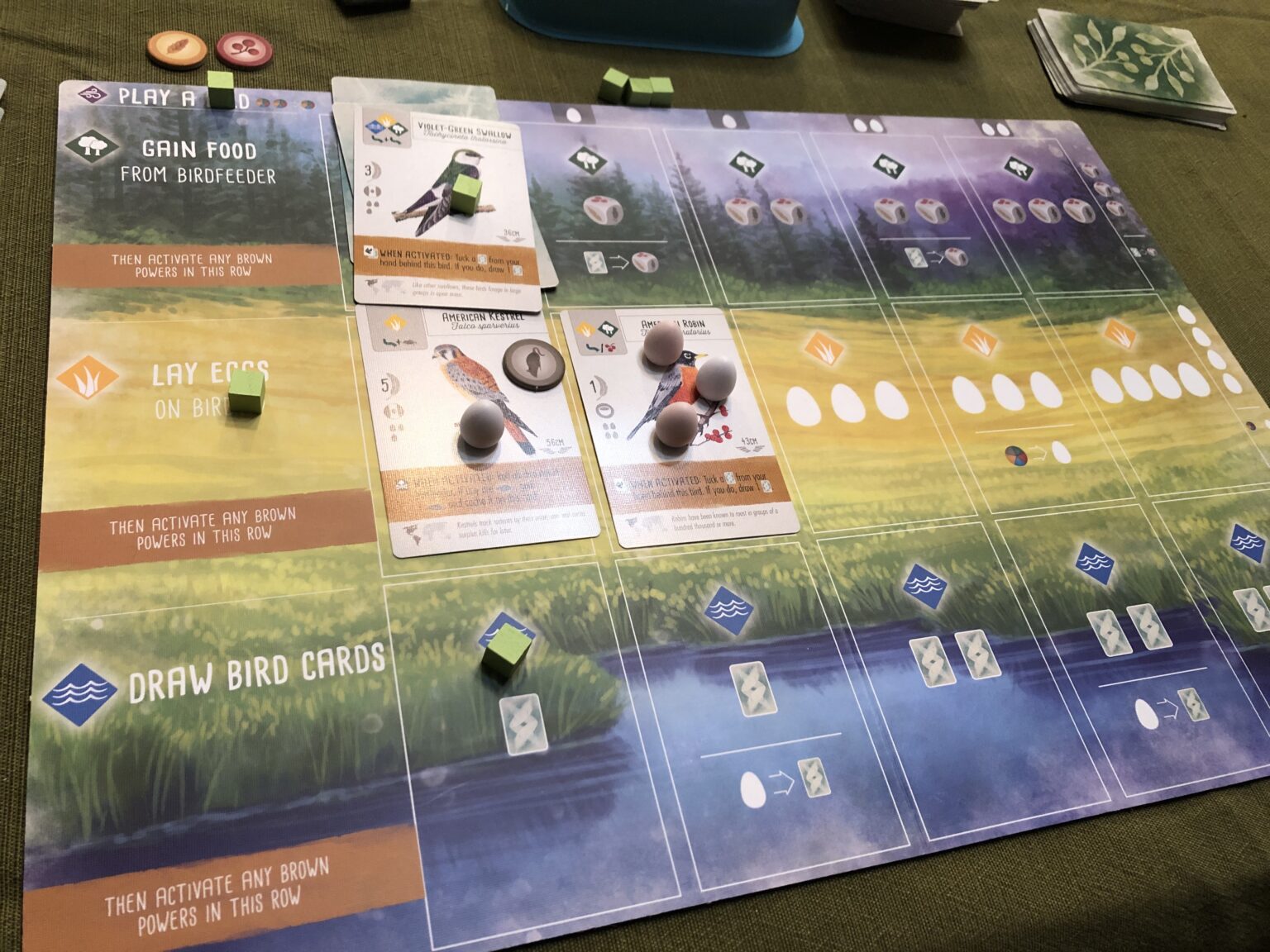 taking-flight-with-the-wingspan-board-game