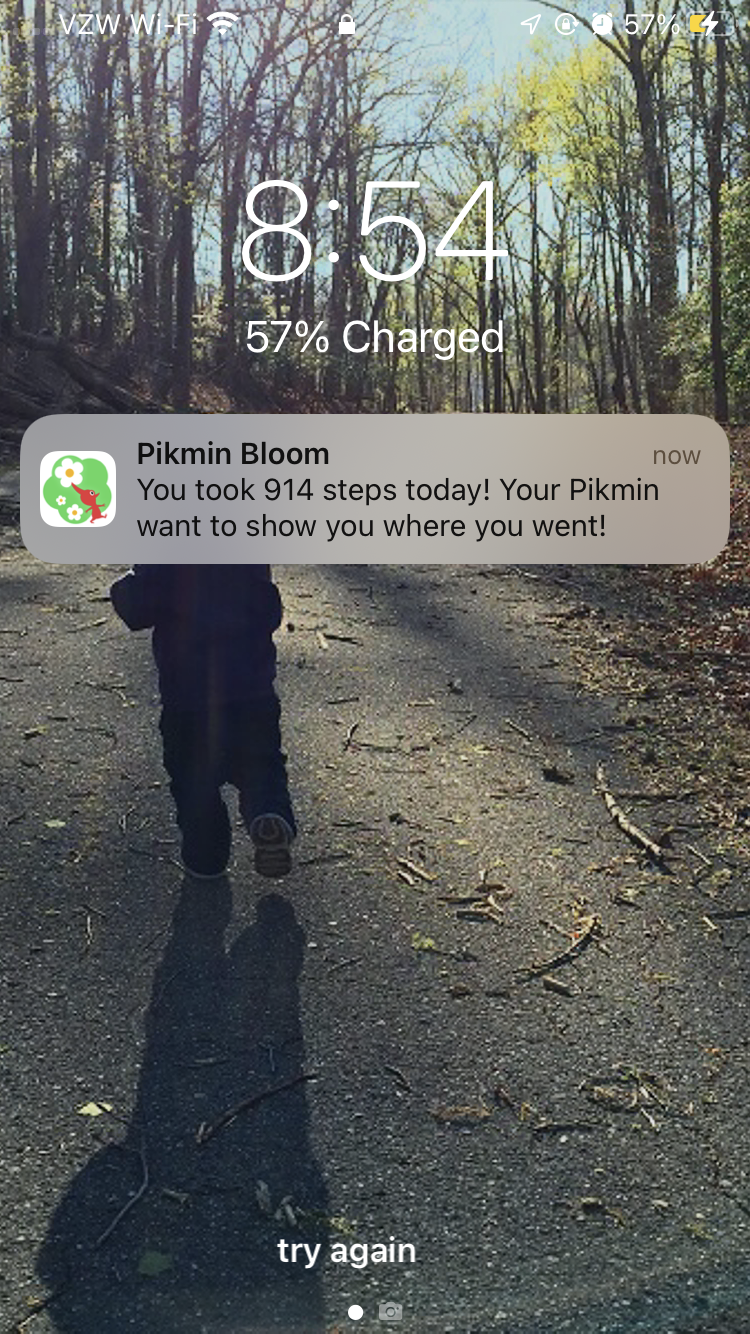 Showing how little I walked in Pikmin Bloom yesterday.