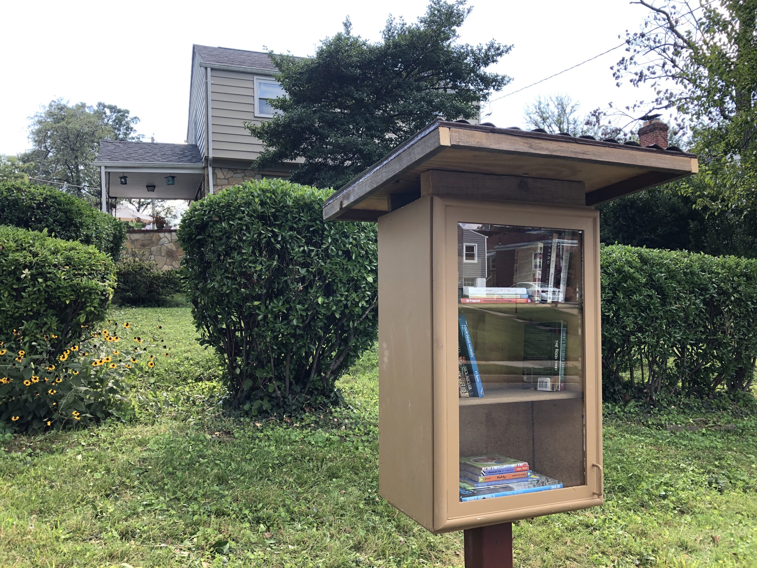 Our Little Free Library was ready!